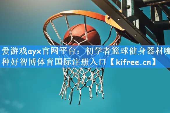 爱游戏ayx官网平台:初学者篮球健身器材哪种好智博体育国际注册入口
