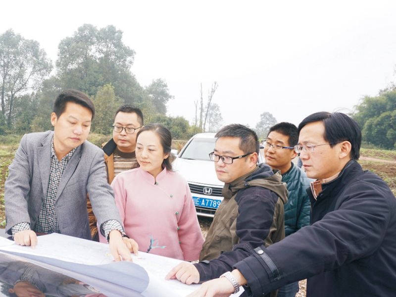 k1体育园林绿化维护