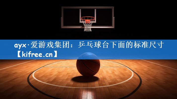 ayx·爱游戏集团:乒乓球台下面的标准尺寸